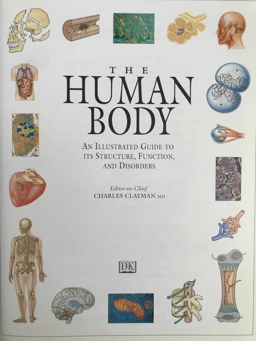 人体解剖图解指南 数百幅彩色插图 精装大16开 商品图4