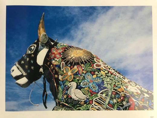 亚马逊自然风物志 数百幅插图 精装大16开 商品图9