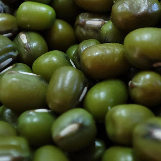 社群专享秒杀福利| 有机绿豆(2023.07产)/有机糯米(2023.07产)，有机认证更安心(满4件包邮) 商品图3