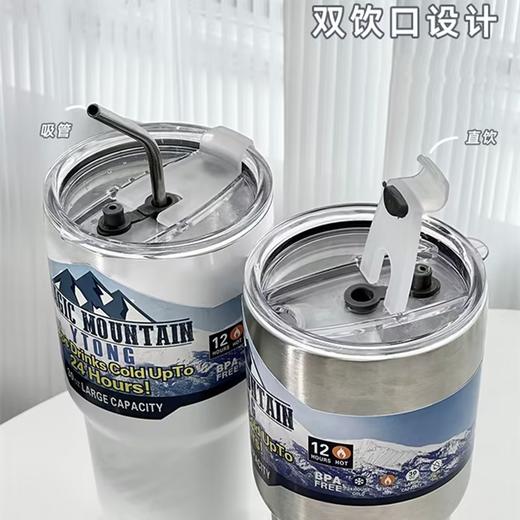 冰霸杯双饮杯大容量吸管保温杯车载304不锈钢夏日保冷咖啡杯吸管杯900ML【厂家直发】 商品图4