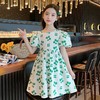 女童连衣裙夏天洋气公主裙2023新款童装女孩大童夏季纯棉儿童裙子 商品缩略图2