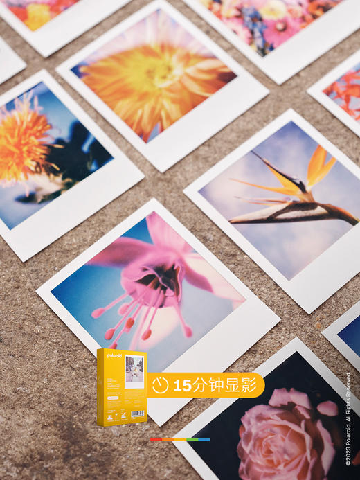 Polaroid/宝丽来 拍立得相纸 I-TYPE 8张 彩色【仅限i-Type相机可用】 商品图5