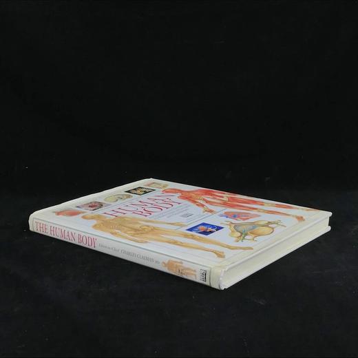 人体解剖图解指南 数百幅彩色插图 精装大16开 商品图1