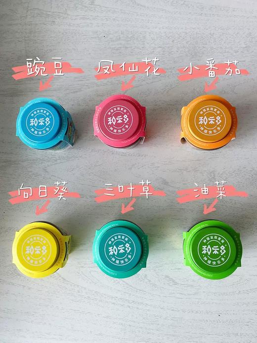 有机联盟植物 商品图7