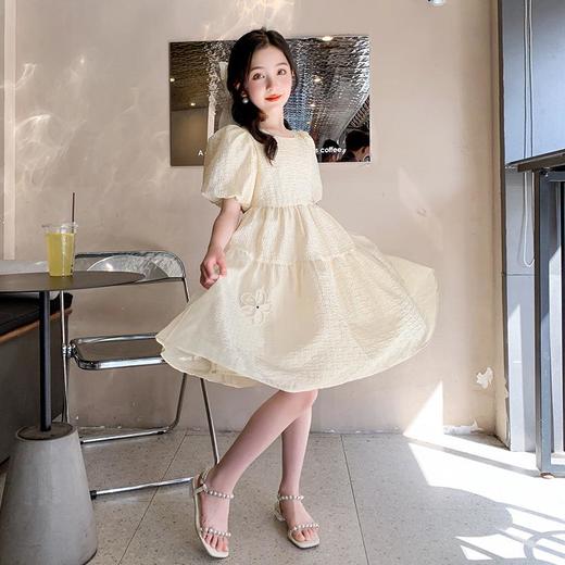 女童夏装连衣裙2023新款童装儿童洋气女孩公主裙女大童裙子夏季 商品图3