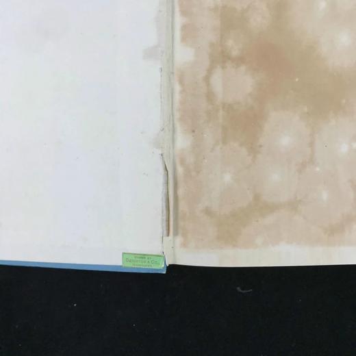 1898年1-4月 帕尔玛杂志 数百幅插图 漆布精装18开 商品图13