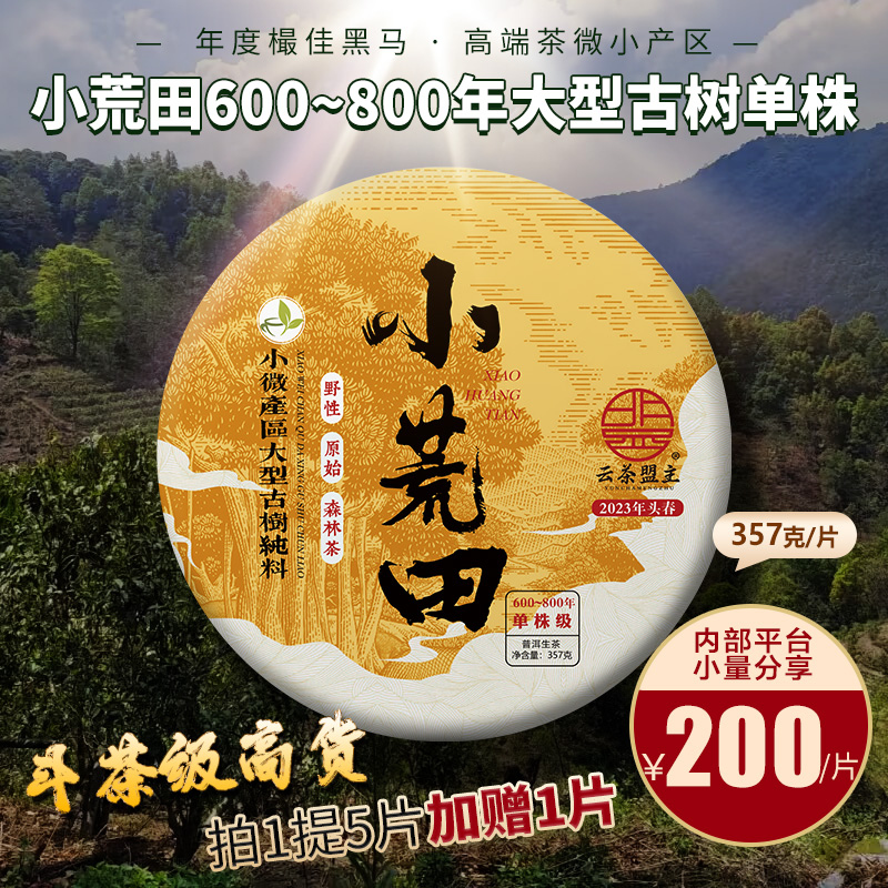【高端茶】【又野又甜 特殊香气】 年度最佳黑马 高端茶微小产区 小荒田600~800年大型古树单株 斗茶级高货分享！ 2023年云茶盟主独有资源分享！