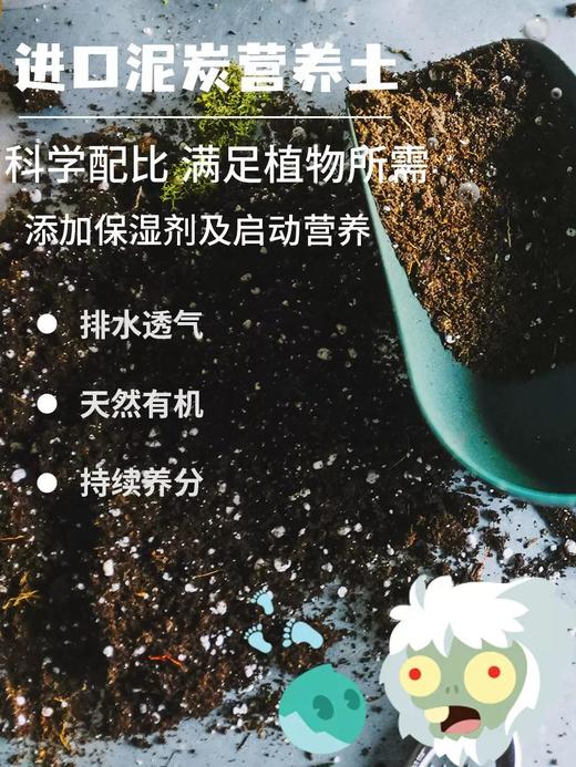有机联盟植物 商品图6