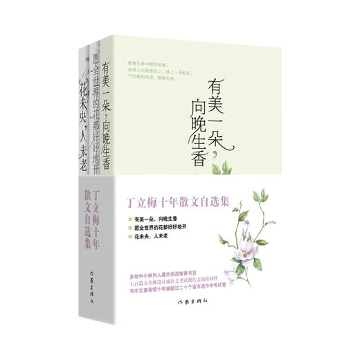 丁立梅十年散文自选集(全3册) 商品图0