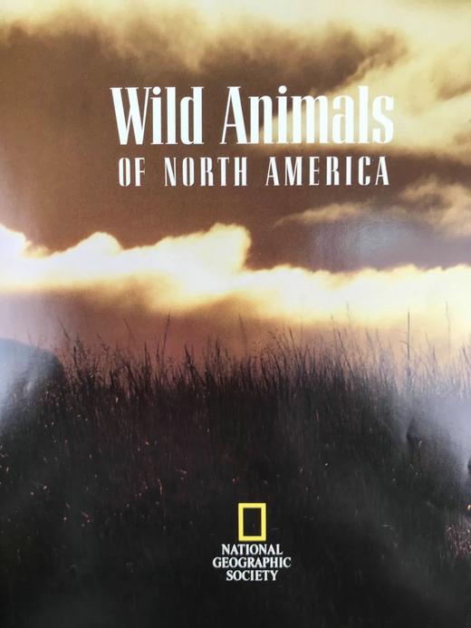 北美洲野生动物图集 数百幅插图 精装大16开 商品图3