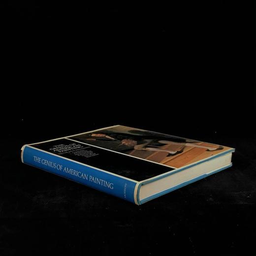 美国绘画天才图集 64幅彩色270幅黑白插图 精装大16开 商品图1