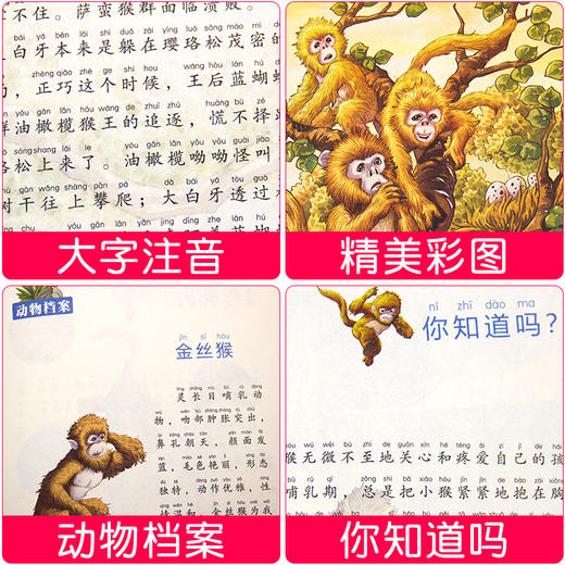 沈石溪动物世界画本《兵猴》经典名著 商品图2