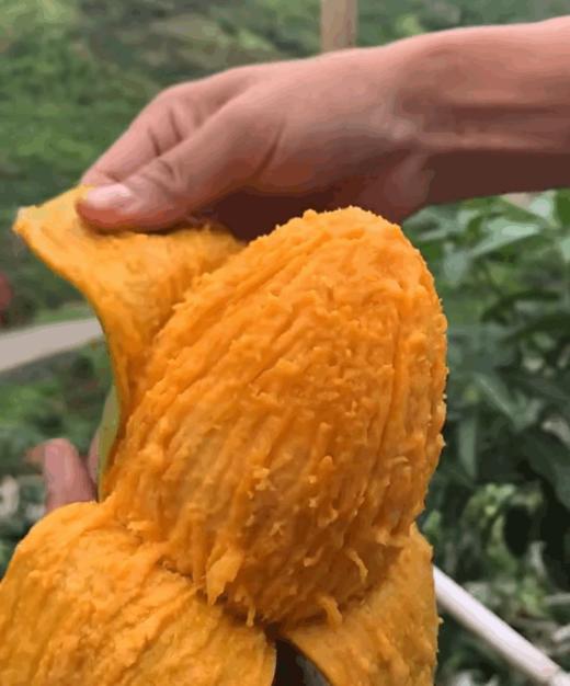 【攀枝花|凯特芒果🥭】💰18.8抢3斤 果园崩盘了，这么好的芒果等于白送❗ 商品图2