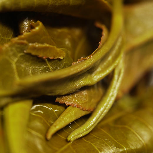 【曼松王子山单株】2018年茶农自存高杆曼松千年以上树龄稀缺高货仅限VIP3以上会员购买 商品图9