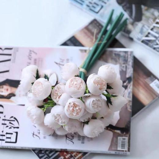 阿素 仿真山茶花花束摄影拍照道具客厅房间室内摆件氛围感装饰品 商品图8