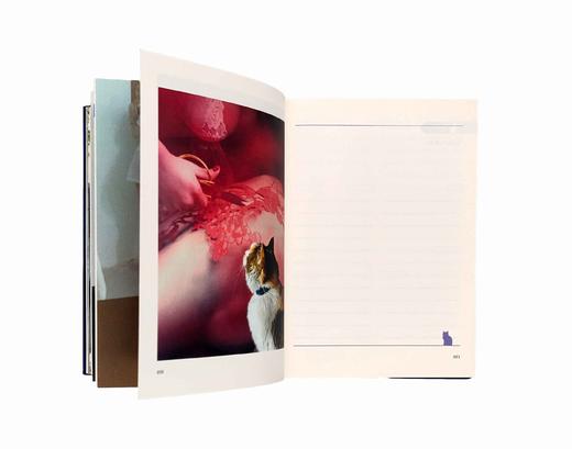 新品丨虎妞笔记本 商品图5