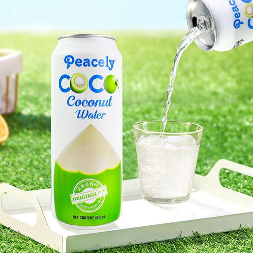越南佩思利椰子水490ml/024455 椰香沁心清甜不腻营养健康 商品图0