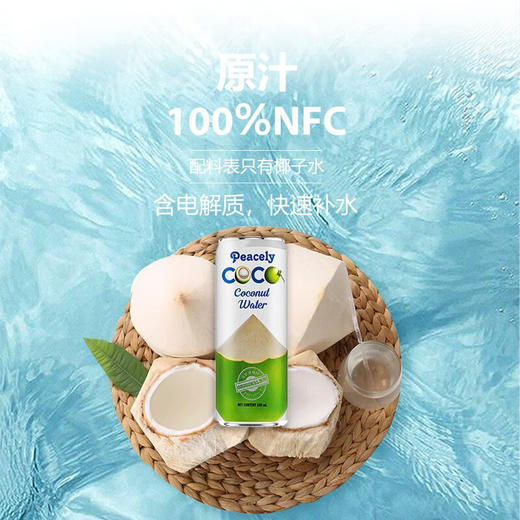 越南佩思利椰子水490ml/024455 椰香沁心清甜不腻营养健康 商品图1