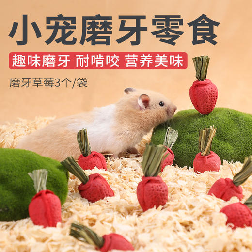仓鼠磨牙草莓3个袋装 小动物零食磨牙洁齿造景批发 商品图0