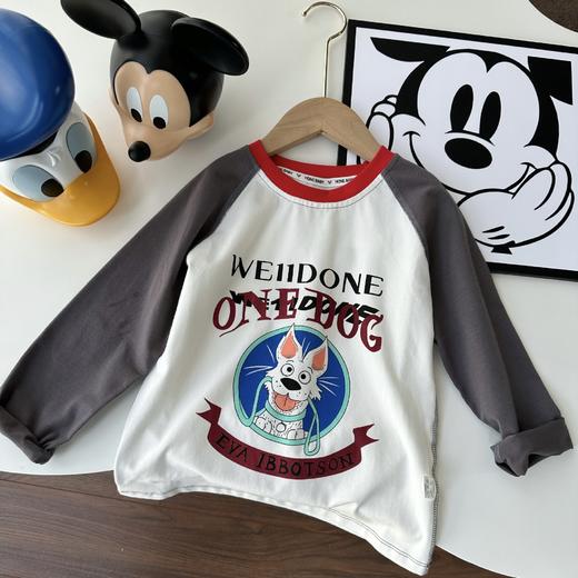 【捡漏价49.9元2件】艾草无骨长袖T，春季新款长袖T恤，儿童版无骨设计，彩色卡通图案加持，多种颜色可选，儿童撞色卡通上衣，插肩打底衫 商品图12