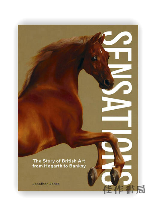 Sensations:The Story of British Art from Hogarth to Banksy / 感觉：从霍加斯到班克斯的英国艺术故事 商品图0