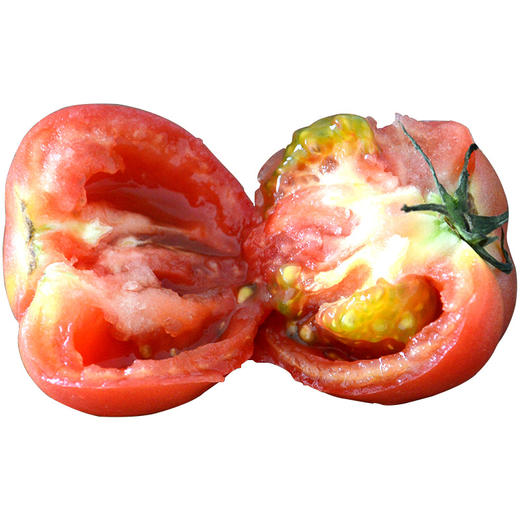 【超值5斤装！普罗旺斯西红柿】鲜艳、肥厚， 5斤沙瓢番茄生吃洋柿子，新鲜蔬菜水果每一口都能感受到丰富多彩的味道，让你在繁忙的城市里品尝到健康的滋味-觅食坊健康 商品图4