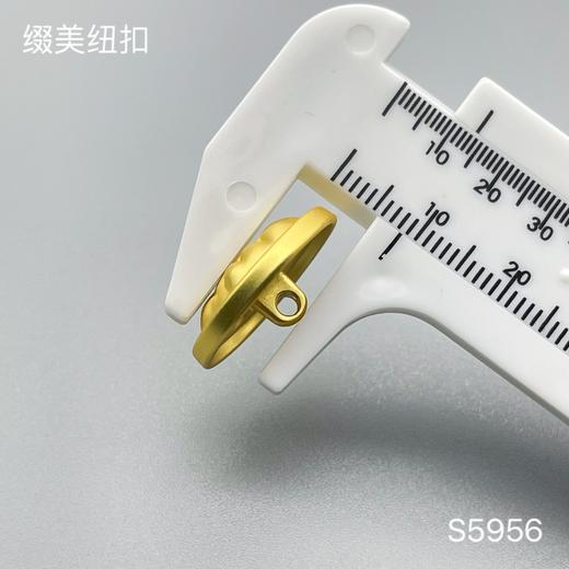 S5956(整包购买) 商品图5