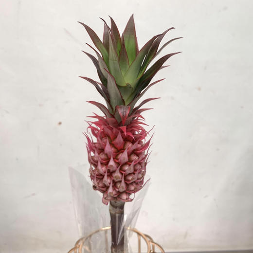 进口小菠萝 商品图1