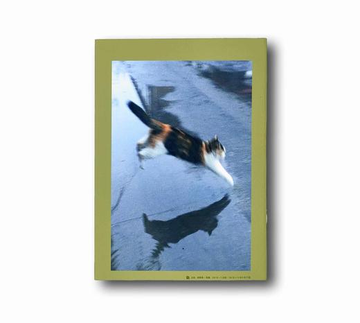 新品丨虎妞笔记本 商品图14