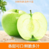 【秒杀】陕西嘎啦青苹果  4.5-5斤净重（12-16枚） 商品缩略图0
