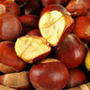 【超值5斤装！辽宁丹东板栗】 新鲜油栗子，鲜嫩可口，每一颗都肥美可口， 应季生毛栗子，非云南板栗。健康 商品缩略图0