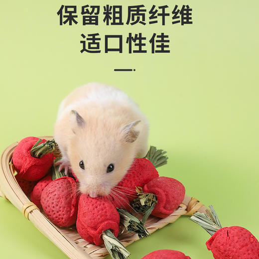 仓鼠磨牙草莓3个袋装 小动物零食磨牙洁齿造景批发 商品图2