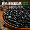 有机绿芯黑豆非转基因种植当季大豆青仁打豆浆专用五谷杂粮可发芽 商品缩略图1