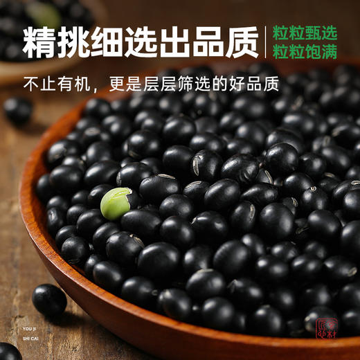 有机绿芯黑豆非转基因种植当季大豆青仁打豆浆专用五谷杂粮可发芽 商品图1