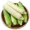【超值8-9斤装！东北白糯玉米】 新鲜农家白玉米棒子，嫩玉米糯蔬菜，糯润可口，现摘现发，新鲜采摘，香甜软糯，更能感受到农家风味的诱人魅力 商品缩略图5