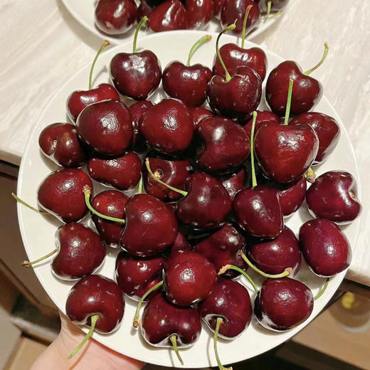 美国车厘子 商品图0