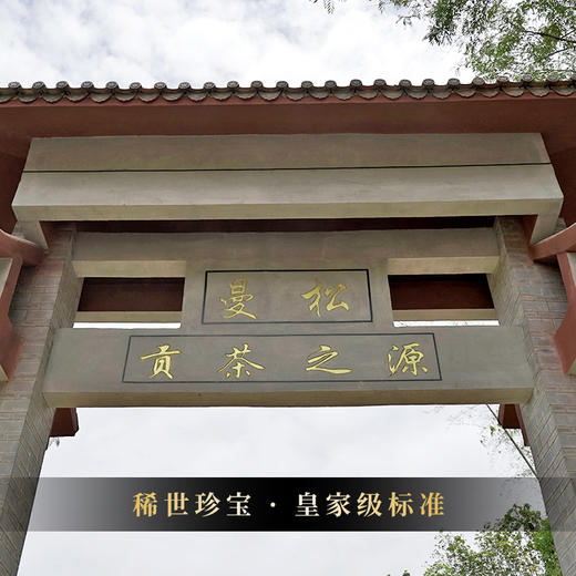 【曼松王子山单株】2018年茶农自存高杆曼松千年以上树龄稀缺高货仅限VIP3以上会员购买 商品图7