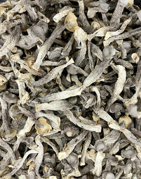 鹿茸菇200g鹿茸菌干货鹿茸菇干煲汤火锅炒菜食材