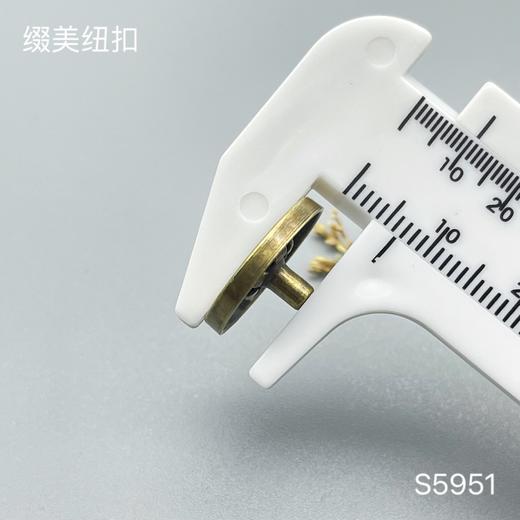 S5951(整包购买) 商品图3