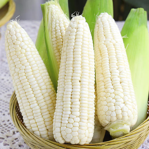 【超值8-9斤装！东北白糯玉米】 新鲜农家白玉米棒子，嫩玉米糯蔬菜，糯润可口，现摘现发，新鲜采摘，香甜软糯，更能感受到农家风味的诱人魅力 商品图0