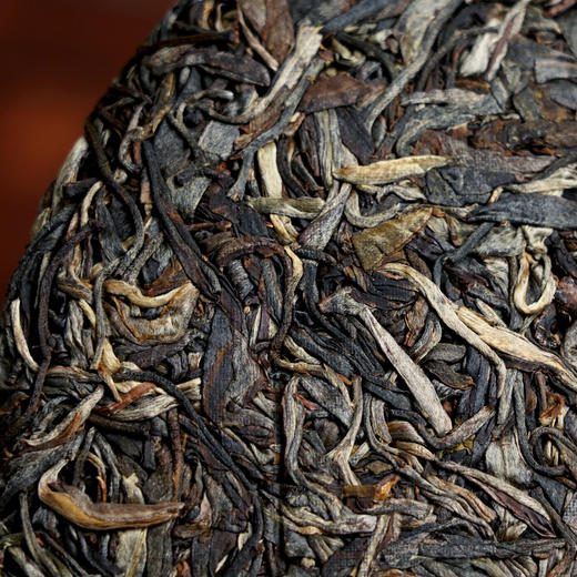 【曼松王子山单株】2018年茶农自存高杆曼松千年以上树龄稀缺高货仅限VIP3以上会员购买 商品图3