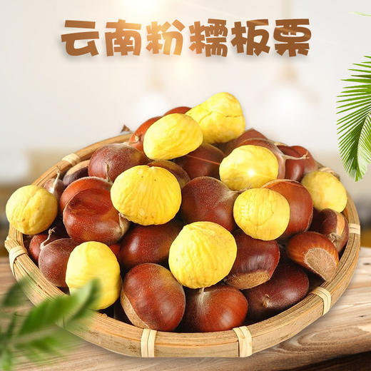 【超值5斤装！辽宁丹东板栗】 新鲜油栗子，鲜嫩可口，每一颗都肥美可口， 应季生毛栗子，非云南板栗。健康 商品图2