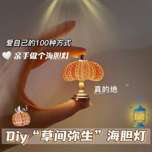 【明星同款】草间弥生南瓜小夜灯diy小夜灯迷你灯复古小台灯 商品图0
