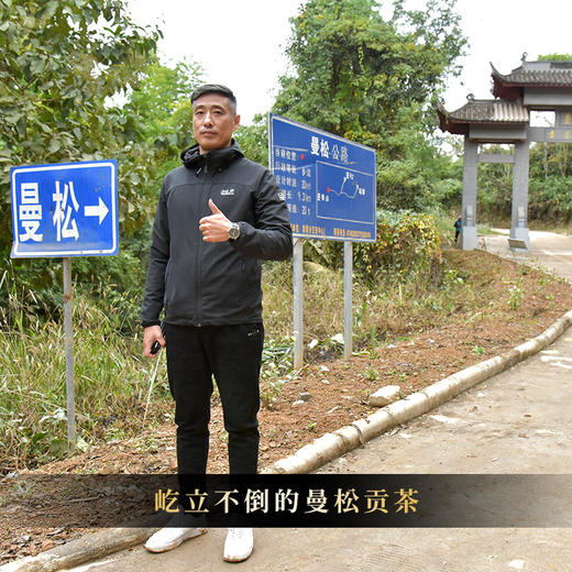 【曼松王子山单株】2018年茶农自存高杆曼松千年以上树龄稀缺高货仅限VIP3以上会员购买 商品图8