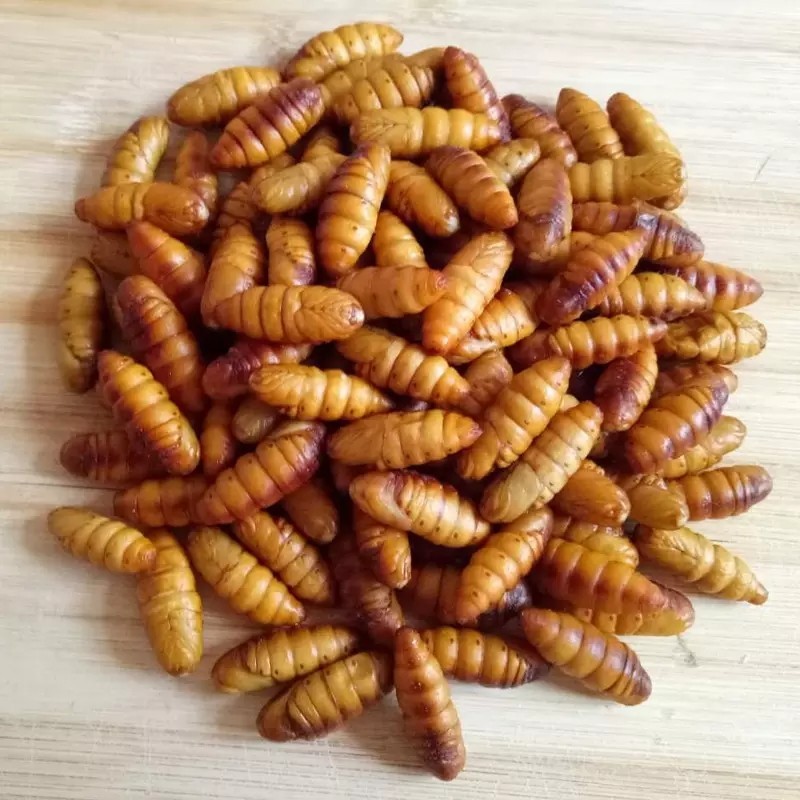 350g蚕蛹干冰金丝蚕蛹【1C+/2B4下-6E】