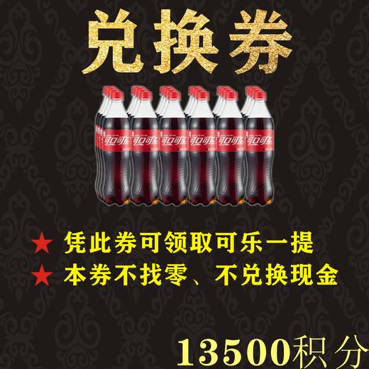 积分券-黑乐 商品图0