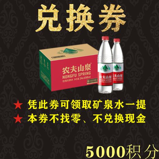 积分券-山水 商品图0