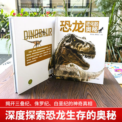 邢立达《恐龙进化的奥秘》7-12岁 商品图1
