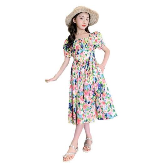 女童夏装连衣裙2023新款薄款洋气女孩夏季碎花裙子童装儿童公主裙 商品图4