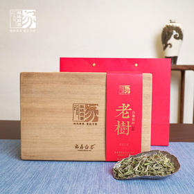家天下丨 2023年  老树白毫银针60g*5包